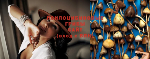 каннабис Абаза