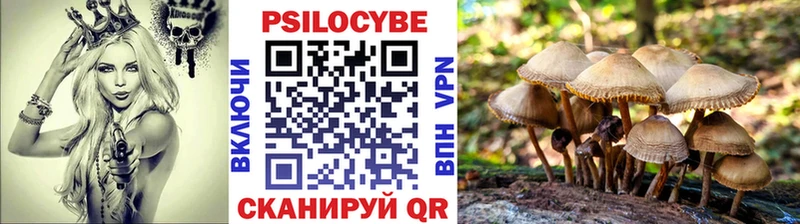 Галлюциногенные грибы MAGIC MUSHROOMS  Никольское 